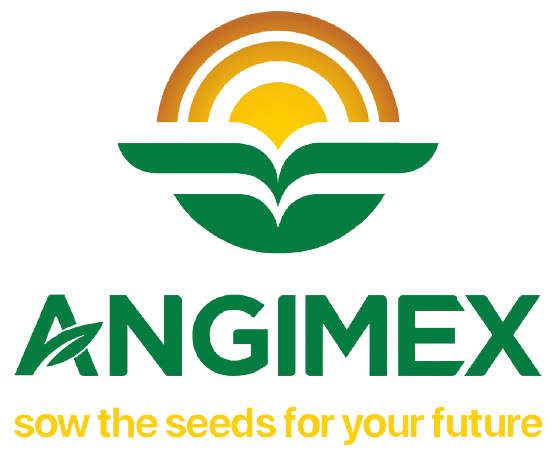 Angimex