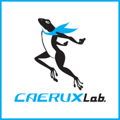 Caerux Lab