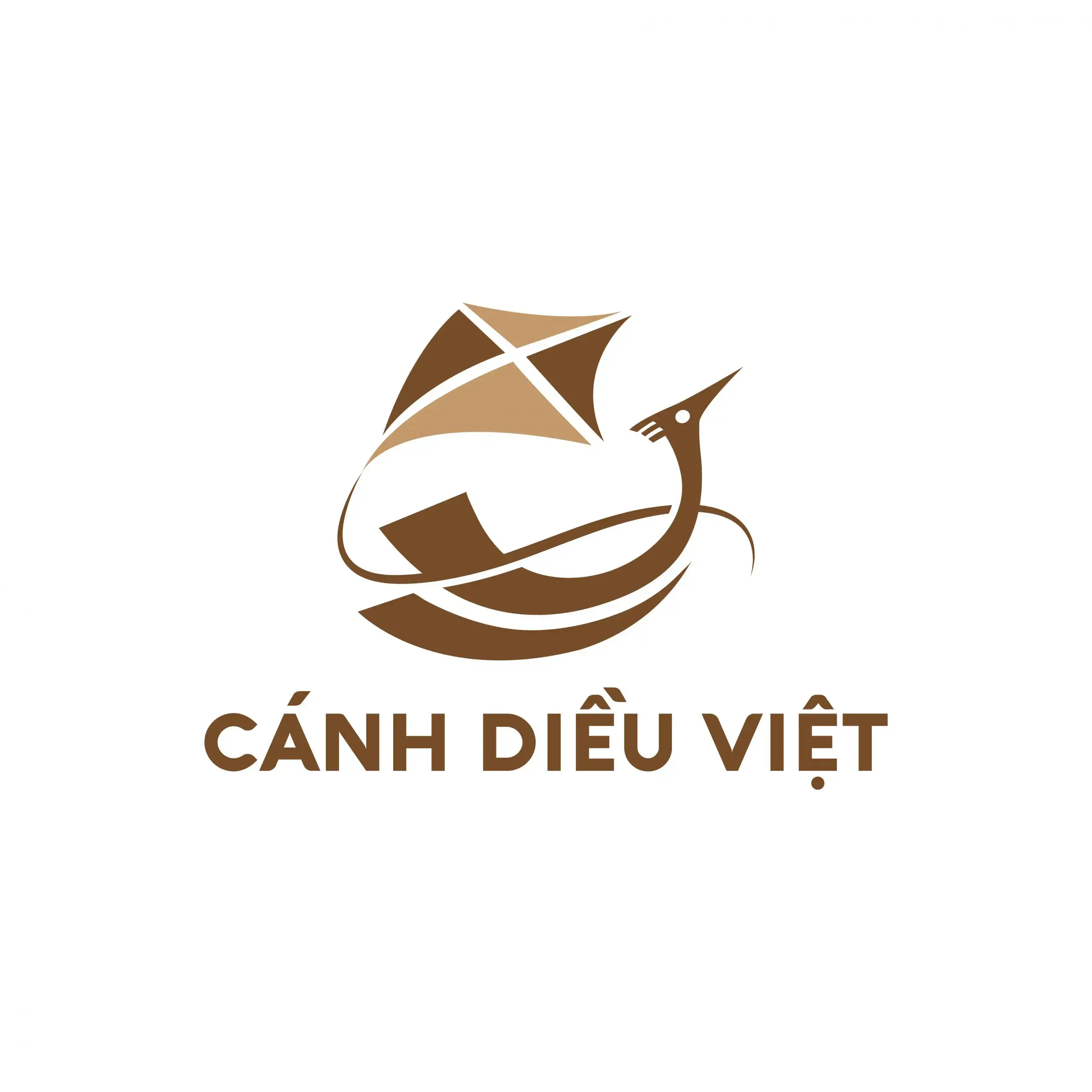 CÔNG TY CP THIẾT BỊ BAY CÁNH DIỀU VIỆT