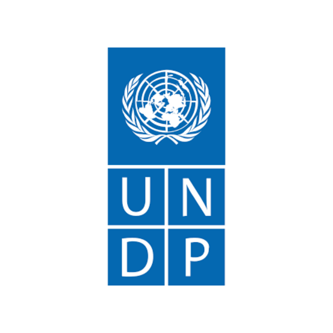 Undp