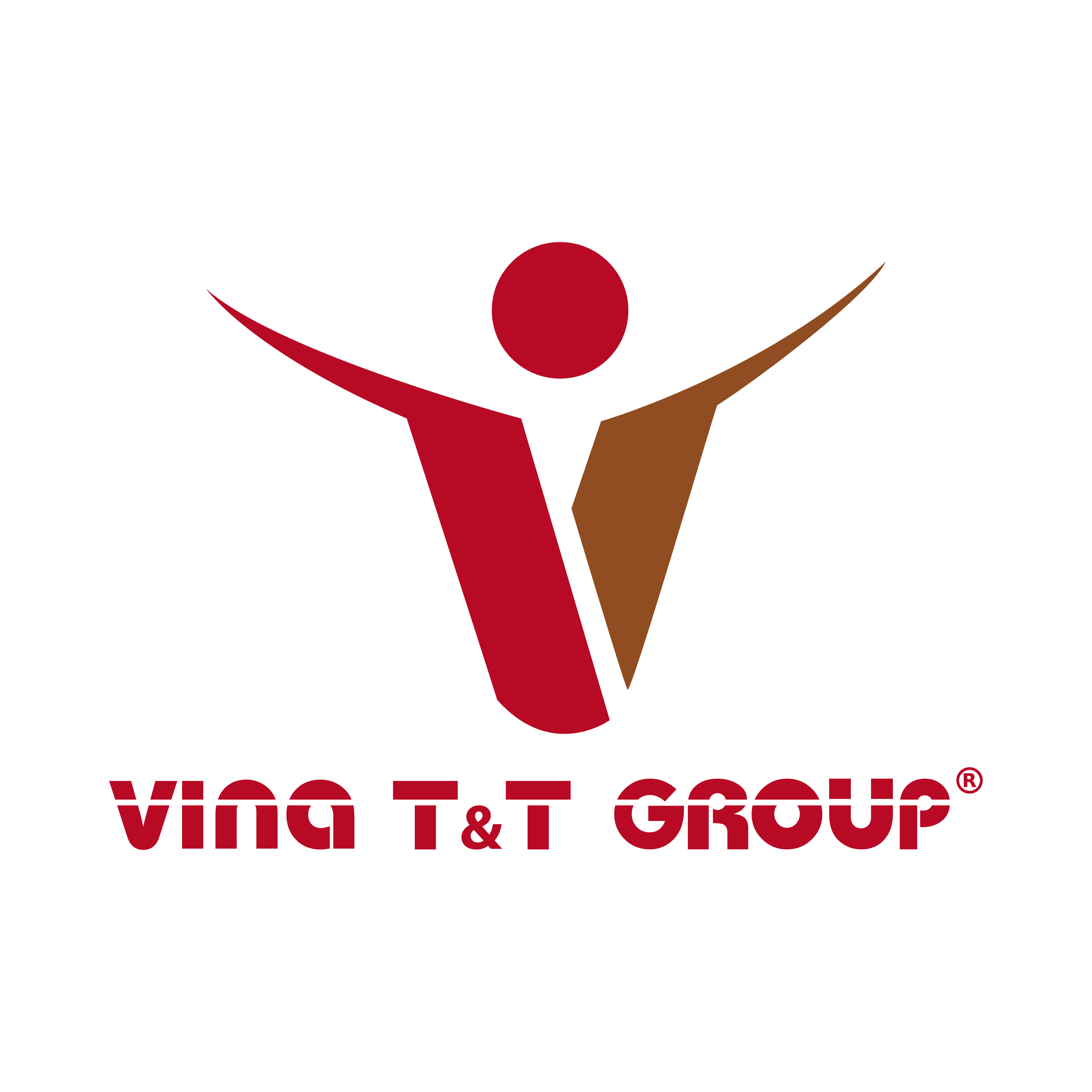 Vina T&T Group