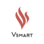 Vinsmart